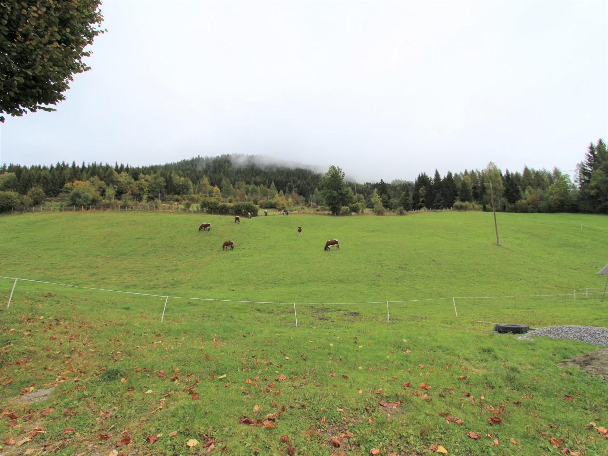 Characterful Old Farmhouse With 4 Apartments In Fresach Carinthia With Garden Eksteriør billede